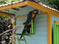 21a - Jardin Tropical 039